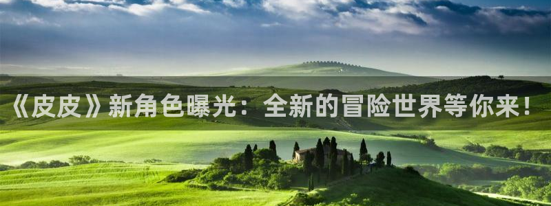 辉达娱乐集团