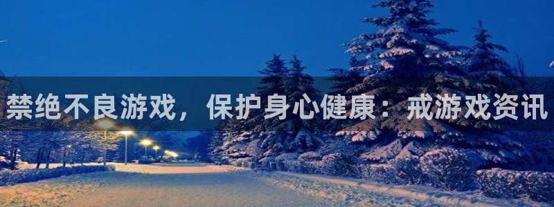 辉达娱乐科技