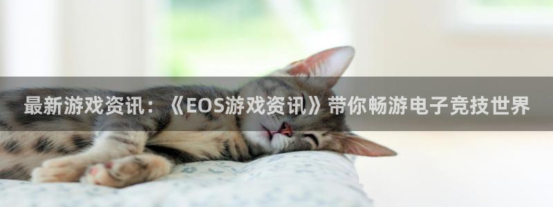 辉达娱乐测速：最新游戏资讯：《EOS游戏资讯》带你畅游电子竞