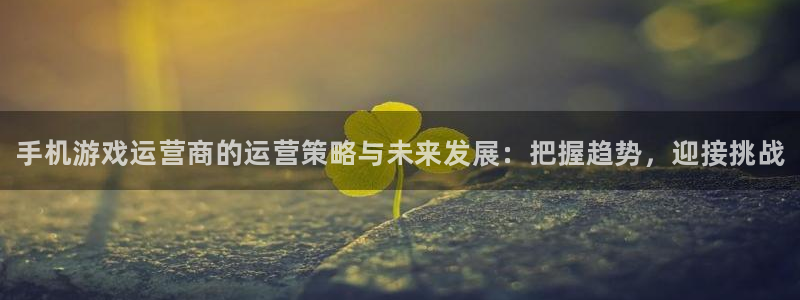 辉达娱乐网址官网：手机游戏运营商的运营策略与未来发展：把握趋