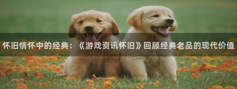 辉达娱乐网页版地址：怀旧情怀中的经典：《游戏资讯怀旧》回顾经
