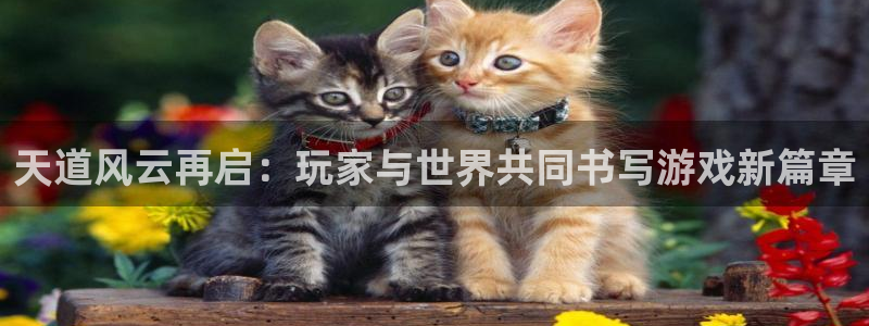 辉达娱乐官方平台：天道风云再启：玩家与世界共同书写游戏新篇章