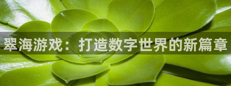辉达娱乐官方注册登录：翠海游戏：打造数字世界的新篇章