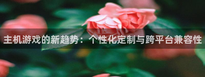 辉达娱乐平台：主机游戏的新趋势：个性化定制与跨平台兼容性