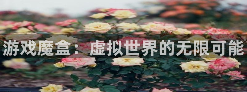 辉达娱乐是什么：游戏魔盒：虚拟世界的无限可能