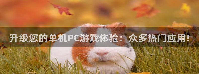 辉达娱乐Ii：升级您的单机PC游戏体验：众多热门应用!