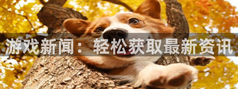 辉达娱乐4招商：游戏新闻：轻松获取最新资讯