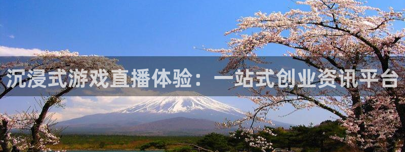辉达娱乐平台注册资金多少：沉浸式游戏直播体验：一站式创业资讯