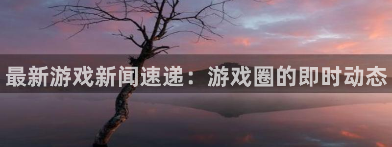 辉达娱乐是什么