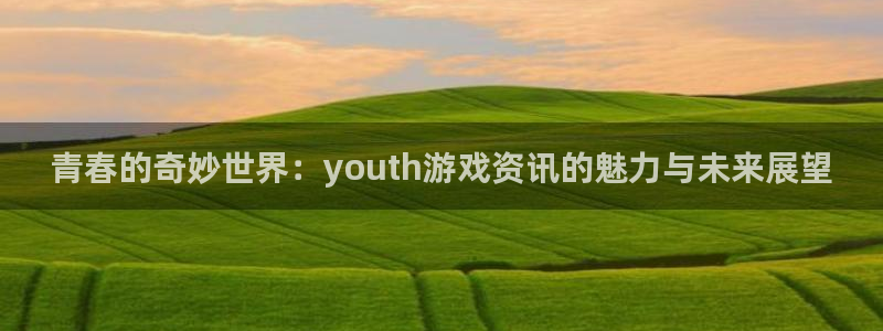 辉达娱乐注册平台