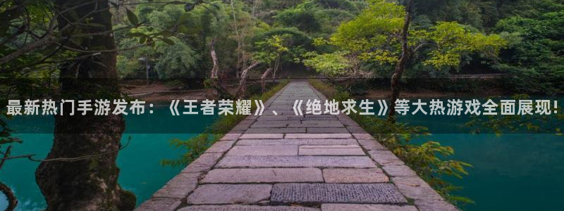 辉达娱乐app下载