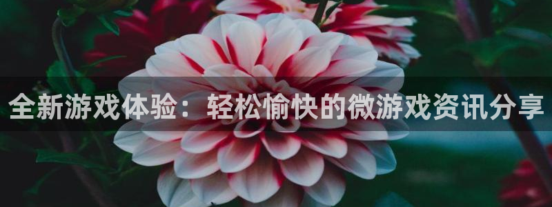 辉达娱乐直属：全新游戏体验：轻松愉快的微游戏资讯分享